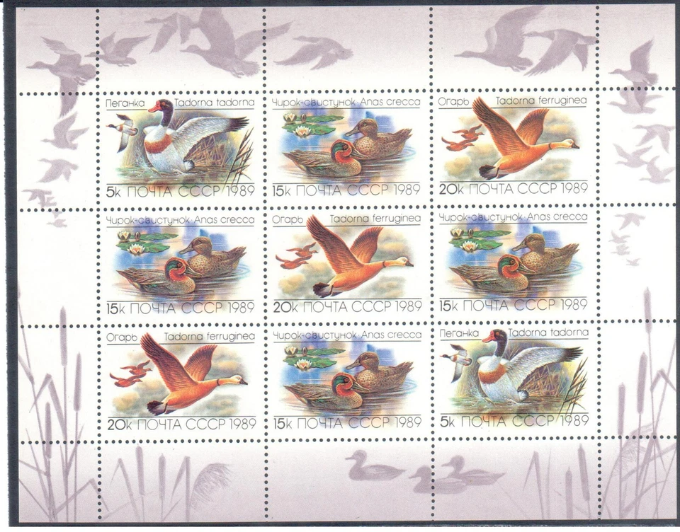 RUSSIA USSR 1989, Sc#5783-5785a, Mi#5965-5967 KB, Ducks, MNH - Image 1 of 1