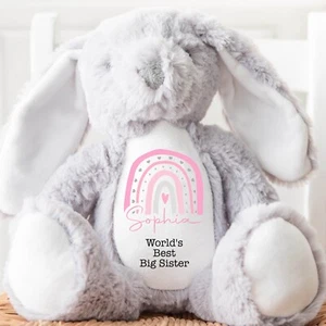 Personalised Big Sister Teddy | New Big Sister Gift, Big Sister Present - Picture 1 of 5