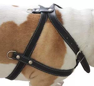 Genuine Leather Pulling Dog Harness 1" wide 33"-37" chest Rottweiler Cane Corso - Picture 1 of 5