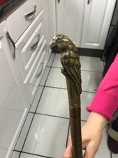 parrot handle walking stick
