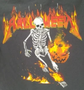 NEW Kid's Halloween T-shirt Dark Grey Size XS (14/16) Youth Skeleton Flames - Picture 1 of 4