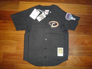 Randy Johnson 2003 Mitchell & Ness Diamondbacks Mens Button Front BP Jersey $130 - Picture 1 of 8