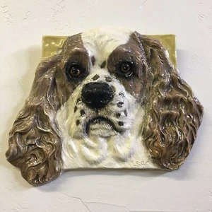 American Cocker Spaniel Hund Keramikfliese Handarbeit Haustierportrait Alexander - Bild 1 von 5