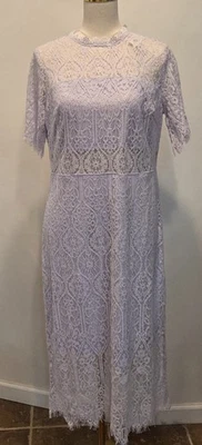 全新带标签 Francesca's Miami Hamilton Lavendar 蕾丝迷笛连衣裙女式 XL 性感浪漫 — 第 1/4 张图片