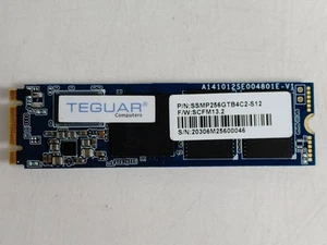 Teguar SSMP256GTB4C2 256 GB M.2 80mm Solid State Drive - Afbeelding 1 van 6