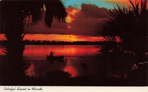 POSTCARD Colorful Sunset Along Florida's Tropical Shores - Unposted - Picture 1 of 2