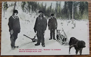 AUF DEM FAIRBANKS VALDEZ TRAIL - MUSHING bei 60 UNTER NULL - ALTE POSTKARTE ALASKA - Bild 1 von 2