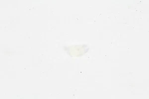 Buje de retención de acoplamiento original Kohler 25-158-08-S OEM - Imagen 1 de 4