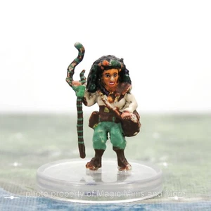 Wildemount ~ LOTUSDEN HALFLING #27 Critical Role D&D faction miniature druid  - Picture 1 of 3