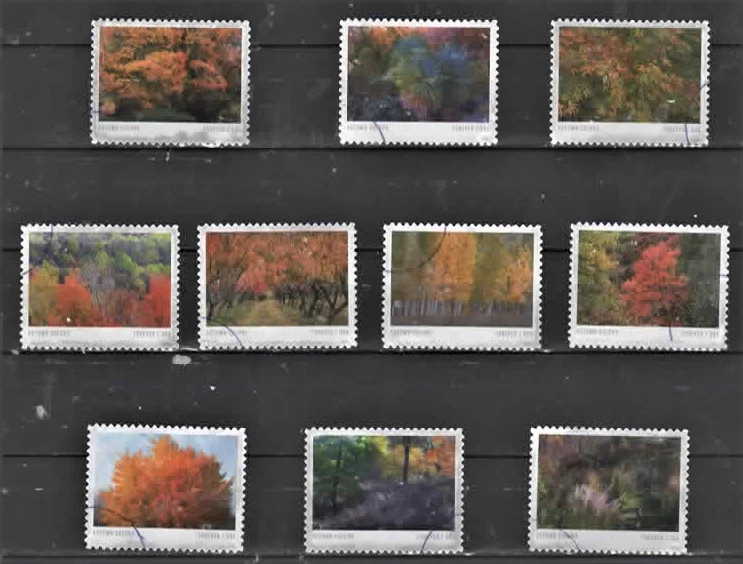 USA 5929-38 Autumn Colours  2024 VFNH - Image 1 of 1