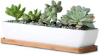11Inch Long Rectangle White Ceramic Succulent Planter Pots/Mini Flower Plant Con