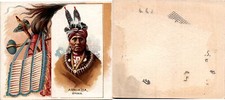 N36 Allen & Ginter, Celebrated American Indian Chiefs, 1888, Arkikita