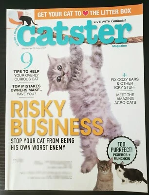 CATSTER Cat Magazine September 2017 Owner Mistakes Pixie Bob Munchkin NEW - Image 1 of 2