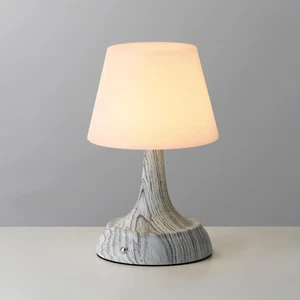Cordless Small LED Table Lamp, Modern Portable Rechargeable Battery Operated Des - Picture 1 of 6