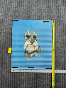 Arte Schnauzer vintage para perros Whiskers firmado por Robert Guzmán-Forbes 20x30 Nº 149 - Imagen 1 de 5