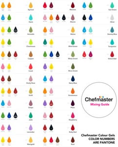 FLESHTONE SIENNA Chefmaster Gel Colour 2.3oz - Picture 1 of 1