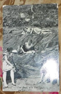 Vintage 1908 photo postcard 4 BATHING BEAUTY "Fine Birds with Few Feathers" #6 - Picture 1 of 2