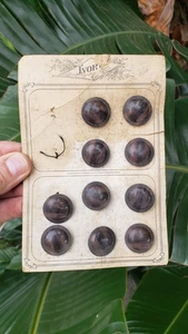 Antique Vintage IVORY BRAND Buttons NOS on Original Placard Card OLD EARLY - Bild 1 von 4