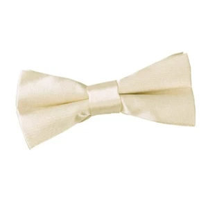 Champagne Satin Plain Solid Boys Kids Childrens Formal Pre-Tied Bow Tie by DQT - Picture 1 of 1