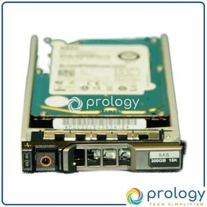 Disco duro Dell Enterprise 04GN49 300 GB SAS 2,5" 6 Gbps 15K - Imagen 1 de 2