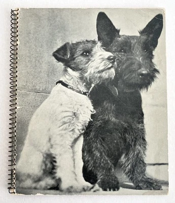 YLLA (Camilla Koffler 1911 - 1955) CHIENS - Editions O.E.T. 1935 FOTOBUCH - Bild 1 von 4