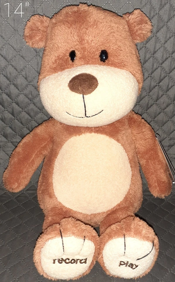Hallmark Record a Name Singing Teddy Bear Stuffed Animal
