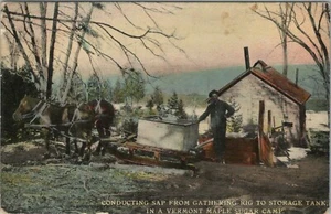 c1910 Sap from Rig to Tank Vermont Maple Sugar Camp Postcard ~ Teich R-20651 - Picture 1 of 2
