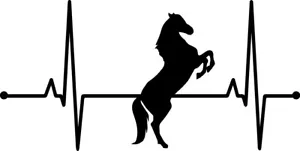 5" Horse Lifeline Decal Sticker Heartbeat Equine Love Pet Ranch Farm Life Ride - Picture 1 of 3
