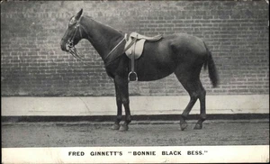 Antigua postal Bonnie Black Bess de Fred Ginnett caballo de carreras - Imagen 1 de 2