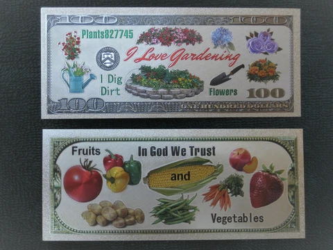 Garden Banknote Landscape Non Antique Sign Lawn Ornaments Art Plaque Yard Silver Cover