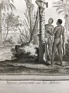Colonie en 1746 Esclave Ethnologie Afrique Rare Gravure Paquier Cochin Chedel