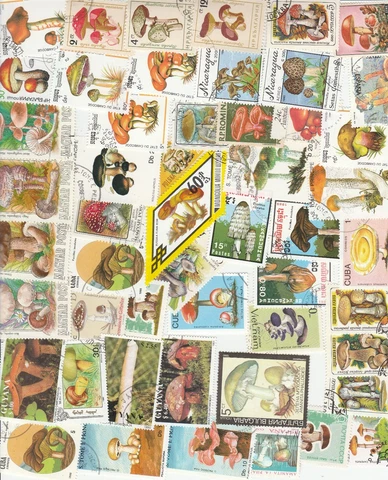 mushrooms 50 different stamps Cover