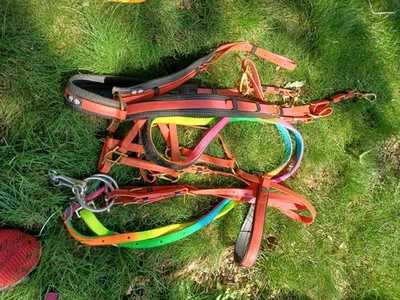 Zilco Bridle Breast Collar Coral Rainbow Color - Image 1 of 2
