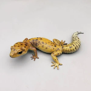 Decoración de estatua de bronce de gecko lagarto de casa de 9 pulgadas, vívidas obras de arte coleccionables - Imagen 1 de 8