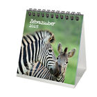 Zebrazauber Kalender für 2025 Format 10cm x 10cm Zebra - Seelenzauber