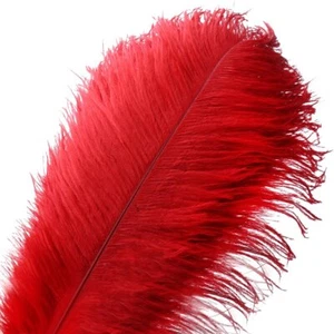 10pcs Natural Ostrich Feather Craft Plume for Wedding Centerpieces Home Decor... - Picture 1 of 1