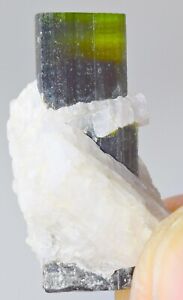 Size 22X12X10mm 18CARAT FT green cap tourmaline crystal on albite @Pakistan1(6JE