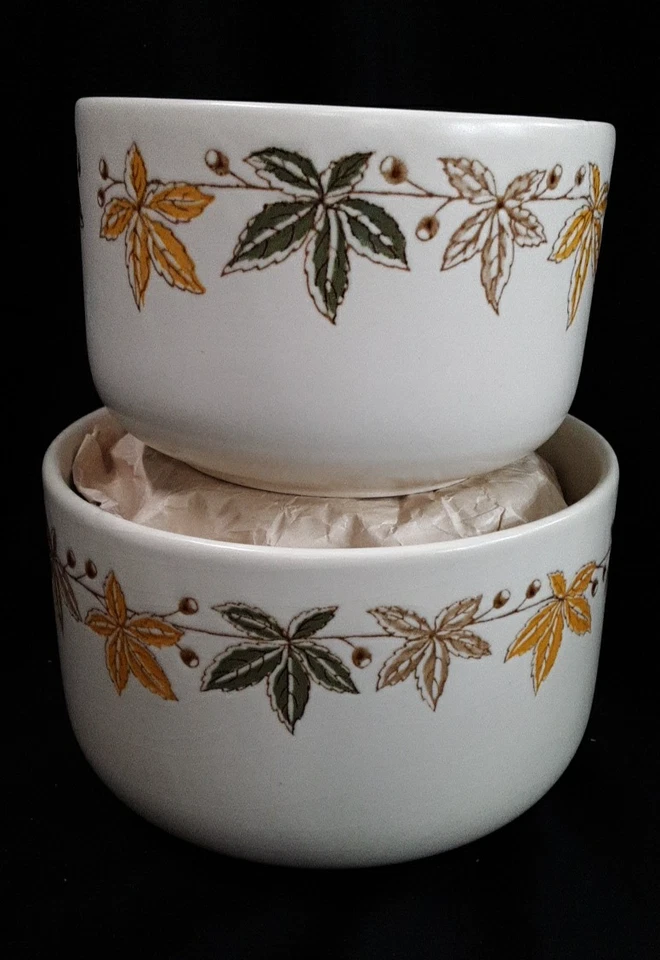 2 cuencos para servir Waechtersbach diseño hoja anidación lados rectos 5 tazas y 8 tazas Foto 1 de 4