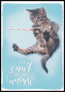 Greeting Card - Cat Kitten - Encouragement 0961 - Picture 1 of 2