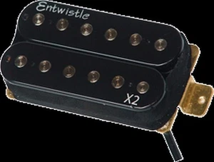 PUENTE CUELLO HUMBUCKER MODERNO ENTWISTLE X2 PAF o JUEGO DE ROCA DE GANGA DE CERÁMICA NEGRA - Imagen 1 de 1