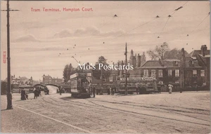 Middlesex Postcard - Hampton Court Tram Terminus  SW17779 - Imagen 1 de 2