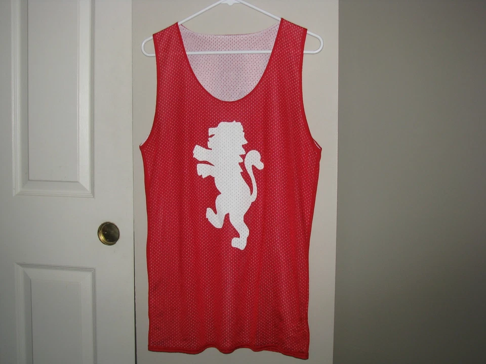 Лев логотип пенни без рукавов Sport практика Джерси AEPi Alpha Epsilon Pi мужской размер M - Изображение 1 из 4