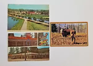 Cartoline da viaggio Circa ?anni 60-70? Montana Fort, Wisconsin Deer, Michigan Park - Foto 1 di 15