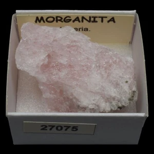 MORGANITA (Nigeria) #27075 / Morganite - Bild 1 von 1