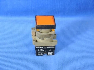 Pulsador Telemecanique XBF-V06 - Imagen 1 de 4