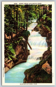 Postcard Gorge Above Avalanche Creek Glacier National Park Montana F1 - Picture 1 of 2