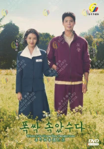 DVD Korean Drama When Life Gives You Tangerines Eps 1-16 END English Dubbed - Picture 1 of 5