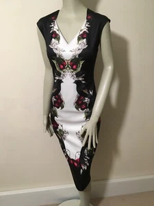 Ted Baker Darnet dress size 2 NWT - Picture 1 of 9