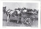 *Postcard-"A Wicker Pony Cart" ...taking a Ride-   *Arroyo Grande, CA- (#154)