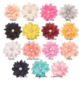 10pcs. Grab Bag Soft Chiffon Flowers w/Pearl Rhinestone-Flatback - Picture 1 of 5